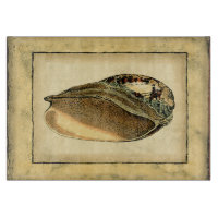 Rustikal Vintag Seashell