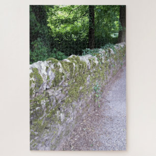 Rustikale botanische mittelalterliche Mauer Graue 