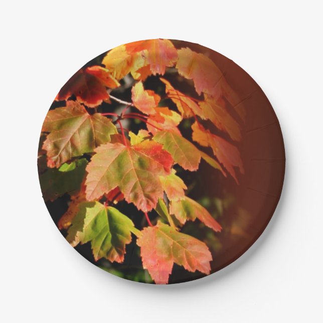 Rustikale Hochzeit im Herbst Herbst Foto Blätter Pappteller (Vorderseite)