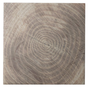 Rustikale hölzerne Blickfliese Fliese