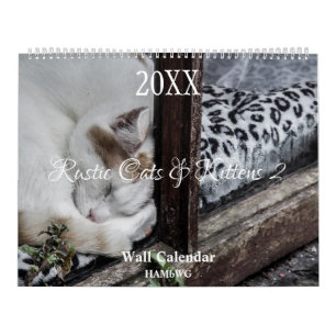 Rustikale Katzen & Kätzchen 2 Wandkalender - HAMby