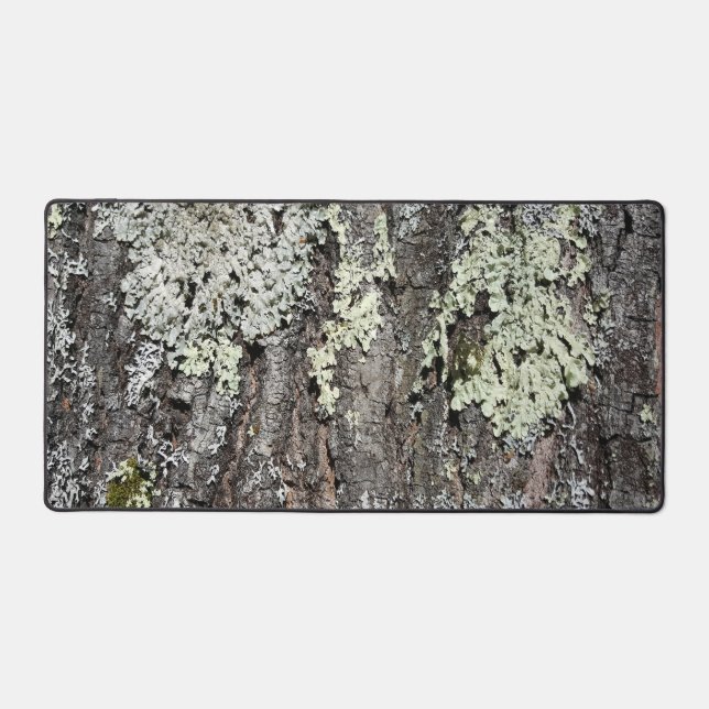 Rustikale Landschaft Mossy Bark Eichenbäume Foto Schreibtischunterlage (Vorderseite)