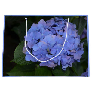 Rustikale Lila Hydrangea macrophylla Große Geschenktüte
