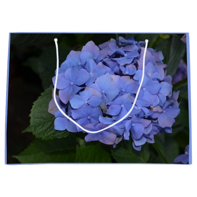 Rustikale Lila Hydrangea makrophylla Große Geschenktüte (Vorderseite)