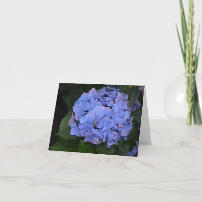 Rustikale Lila Hydrangea makrophylla Karte (Vorderseite)
