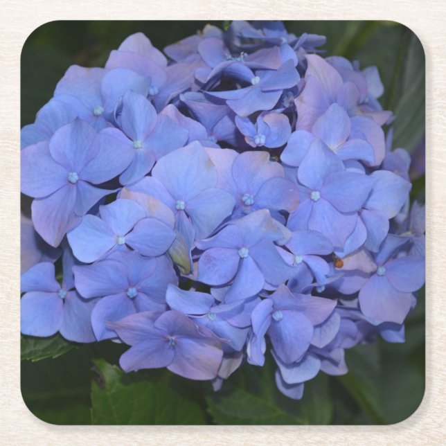Rustikale Lila Hydrangea makrophylla Rechteckiger Pappuntersetzer (Vorderseite)