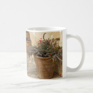 Rustikale mediterrane Kakteen Pflanze Pots Tasse