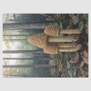 Rustikale Morchel-Pilze Illustration Decoupage Seidenpapier