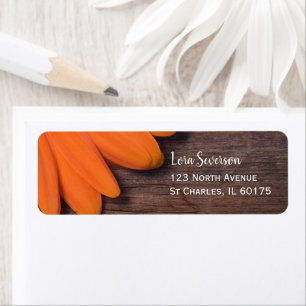 Rustikale Orange Daisy and Barn Wood Rücksendeadre