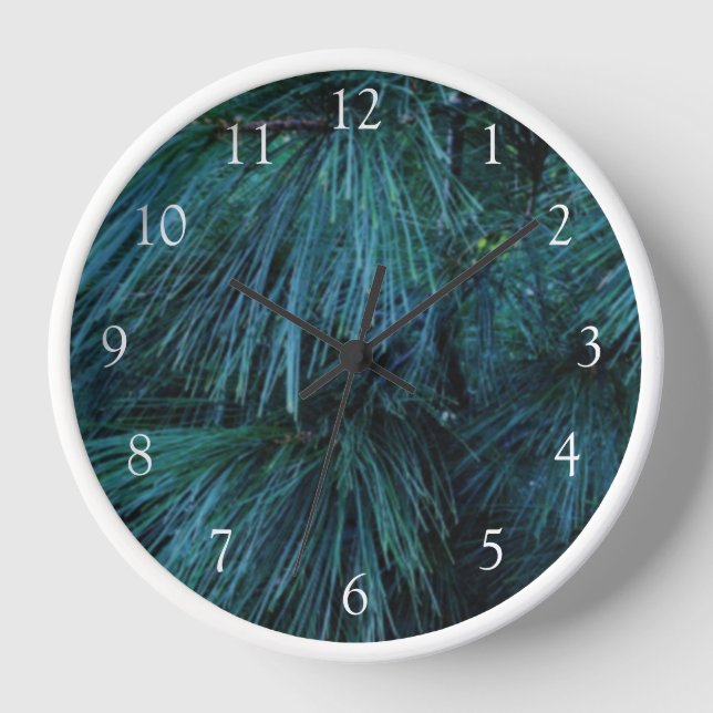 Rustikale Pinienwälder, immergrün Uhr (Vorderseite)