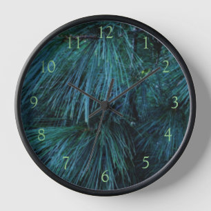 Rustikale Pinienwälder, immergrün Uhr