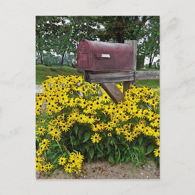 Rustikale Postfach Kunst Postkarte (Vorderseite)