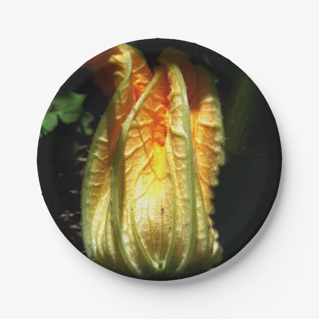 Rustikale, Pumpkin Blossom Custom Paper Teller (Vorderseite)