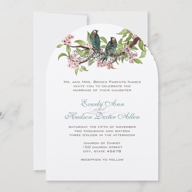 Rustikale romantische Aquamarine Love Bird Pink Aq Einladung (Rückseite)
