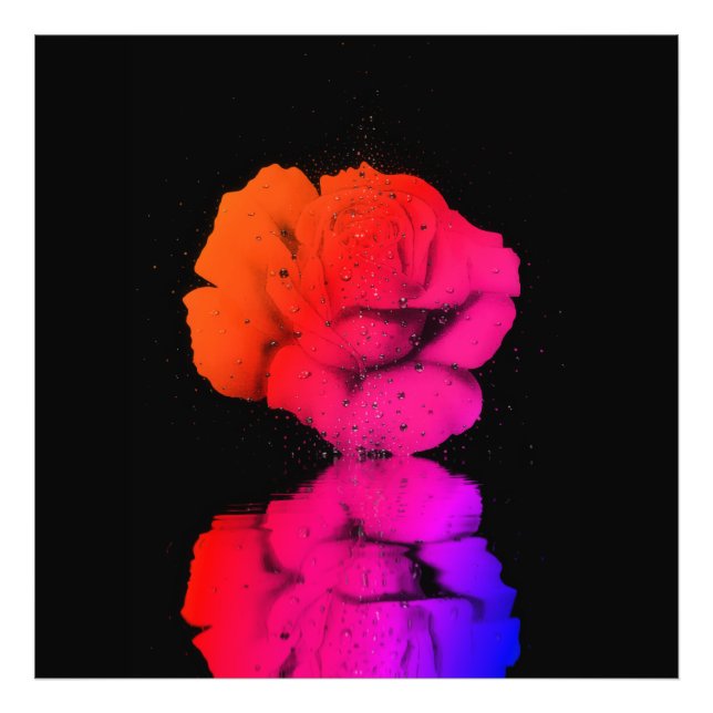 Rustikale Rote Rose Blumenkohl Wassertropfen Kunst Fotodruck (Vorne)