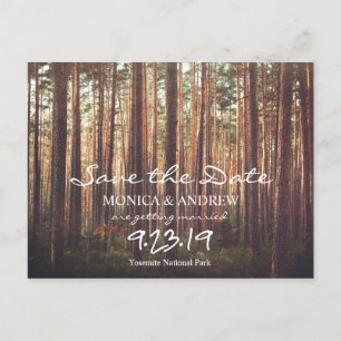 Rustikale Save-the-Date-Wald-Baum-Postkarte Feiertagspostkarte