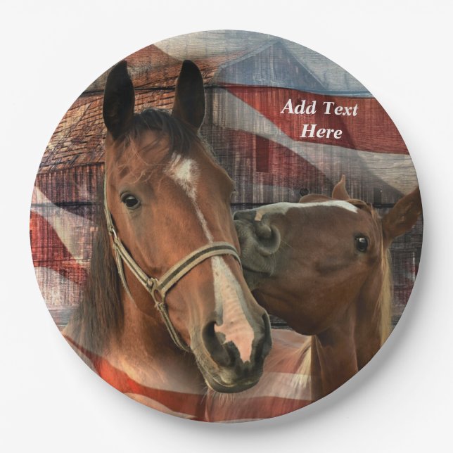 Rustikale Stallenflagge Pappteller (Vorderseite)