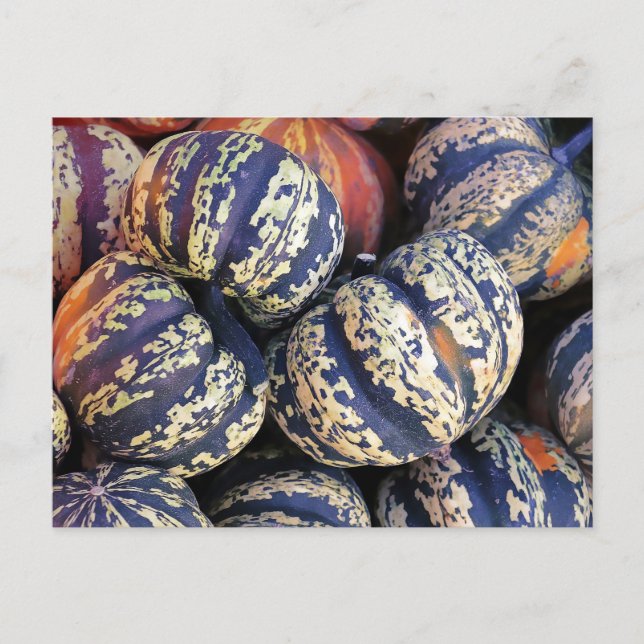 Rustikale Strippenpumpen Postkarte (Vorderseite)