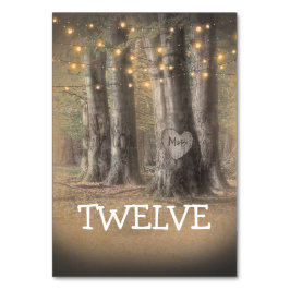 Rustikale Tischnummer von Baumhirten und Strandleu