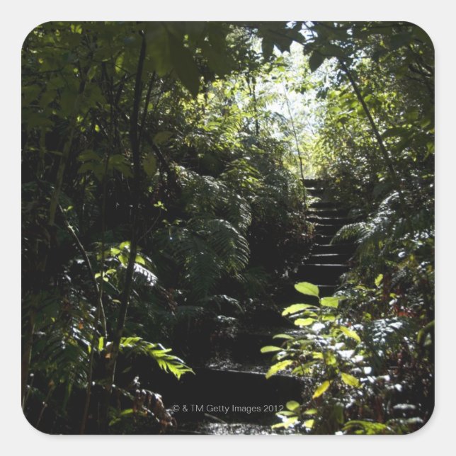Rustikale Treppe/Fußweg im Wald, Sonnenlicht Quadratischer Aufkleber (Vorderseite)