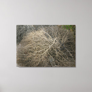 Rustikale Tumbleweed Wrapped Canvas Art Leinwanddruck