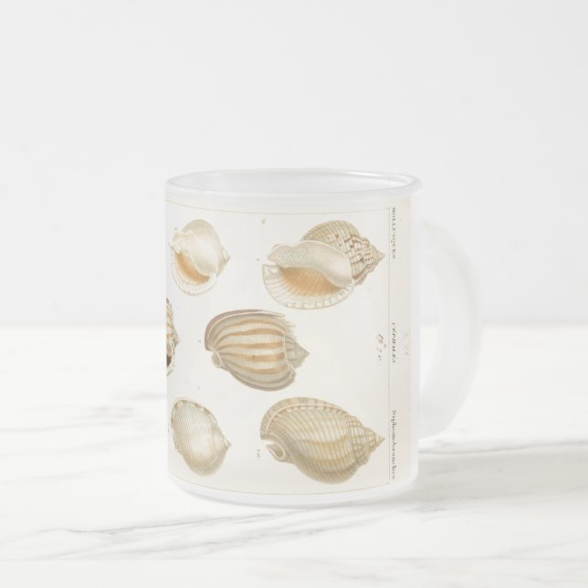Rustikale Vintage Mollusken Seashell Kaffee Tasse (VorderseiteRechts)