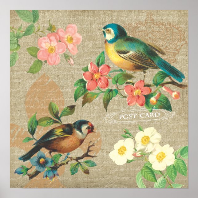 Rustikale Vintage Vögel und Blume Shabby Elegance Poster (Vorne)