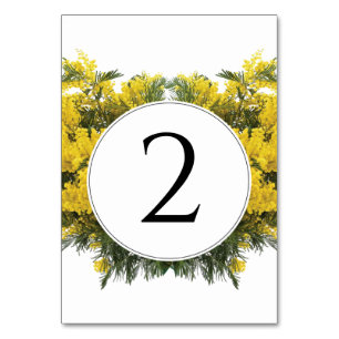 Rustikale Wattle Acacia Wedding Tischnummer