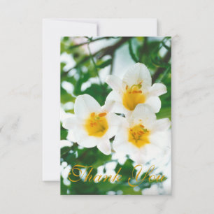 Rustikale Weiße Lilien - Lilium candidum  Dankeskarte