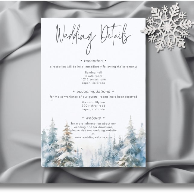 Rustikale Winterlandschaft Wasserfarbendetails Begleitkarte (Rustic Mountain Winter Scene Watercolor Wedding Details Enclosure Card)