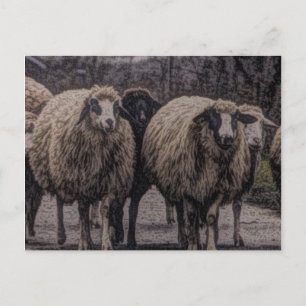 Rustikaler Bauernhof Postkarte