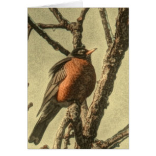 Rustikaler Baum Zweig Michigan Staat Bird Robin