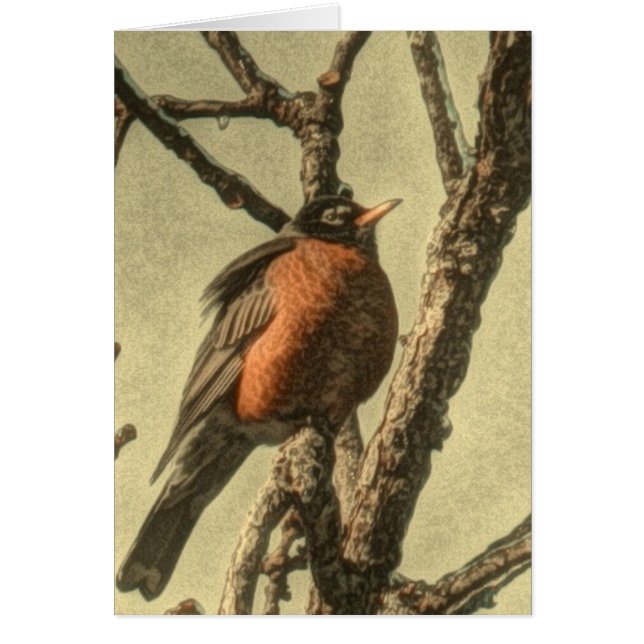 Rustikaler Baum Zweig Michigan Staat Bird Robin (Vorne)