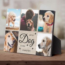 Rustikaler Bester Hund je Memorial Modern Foto Col Fotoplatte