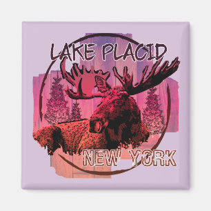 Rustikaler Elchmagnet am Lake Placid New York Magnet