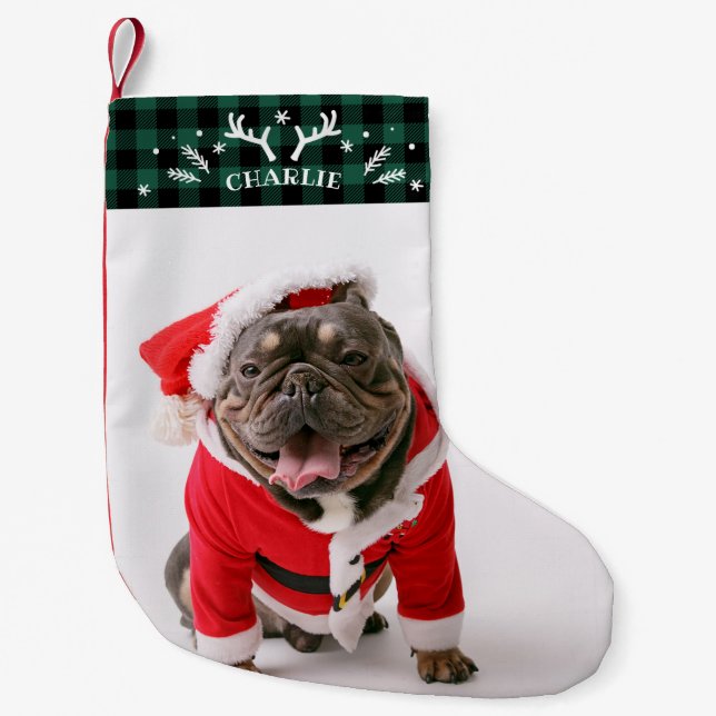 Rustikaler, grüner Karierter Hund für Fotos Kleiner Weihnachtsstrumpf (Vorderseite)