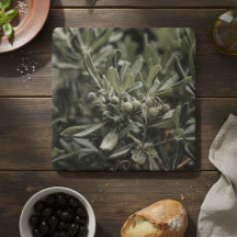 Rustikaler Olivenzweig Mediterran Italien