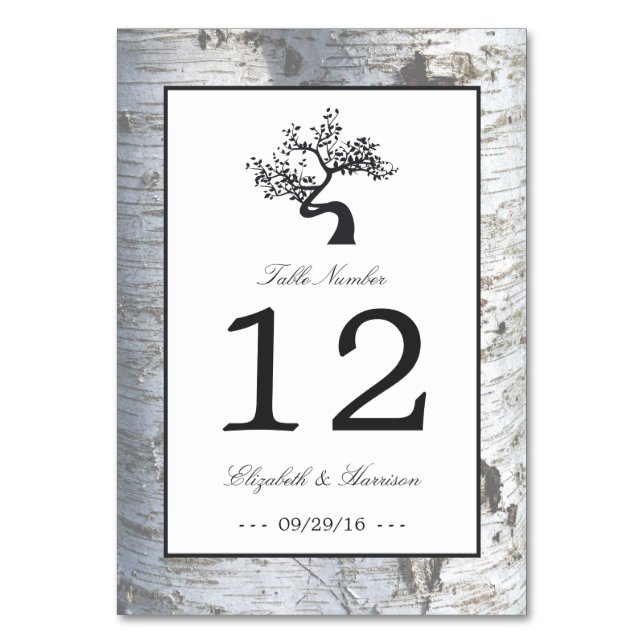 Rustikaler Silberbaum Hochzeitstisch Nr. Tischnummer (Vorderseite)