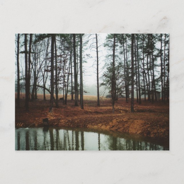 Rustikaler Teich Postkarte (Vorderseite)