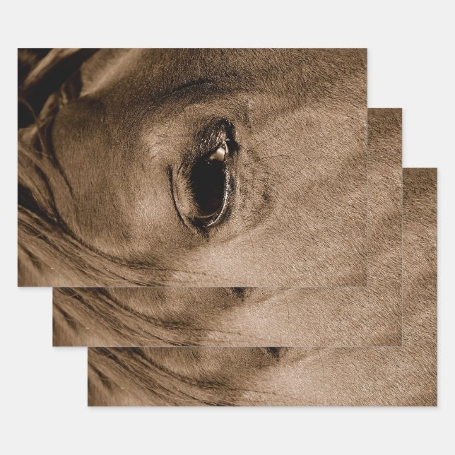 Rustikaler Vintager Western Geschenkpapier Set (Set)