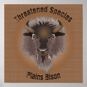 Rustikaler Western Plains Bison Poster