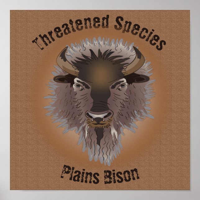 Rustikaler Western Plains Bison Poster (Vorne)