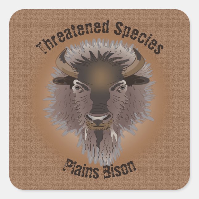 Rustikaler Western Plains Bison Quadratischer Aufkleber (Vorderseite)