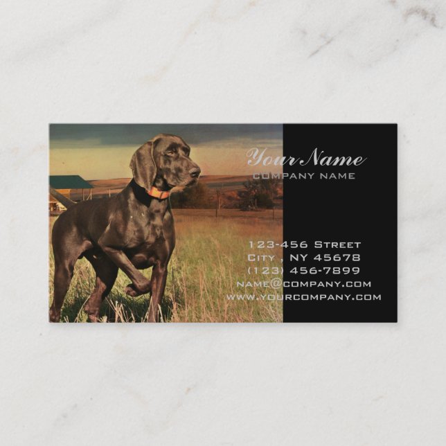 rustikaler Westernlandbauernhof-Labrador-Retriever Visitenkarte (Vorderseite)
