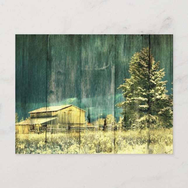 Rustikaler Winter immergrüne alte barnwood Postkarte (Vorderseite)
