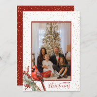 Rustikaler Winter Kardinal Holly Branch