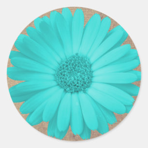 Rustikales aquamarines Gerber Gänseblümchen-rundes Runder Aufkleber