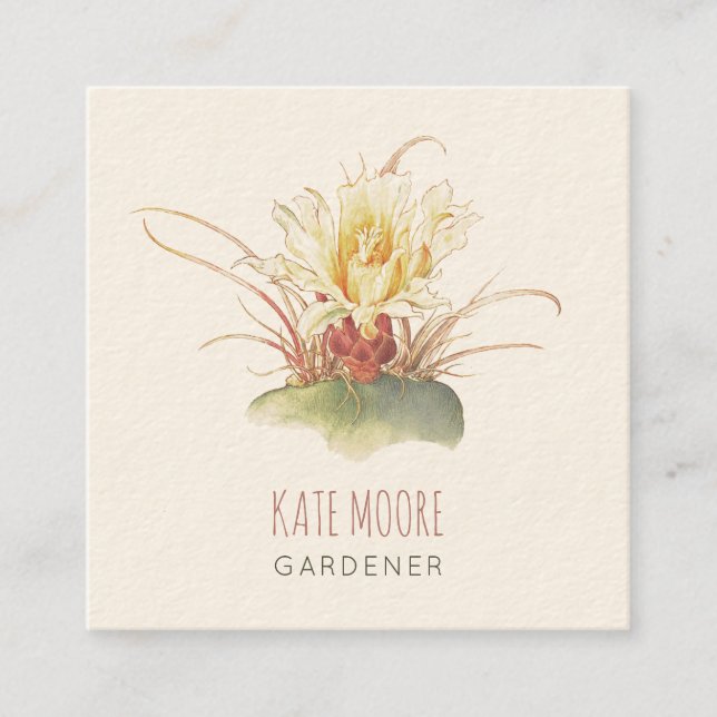 Rustikales, blühendes Barrel Cactus Cream Gardener Quadratische Visitenkarte (Vorderseite)