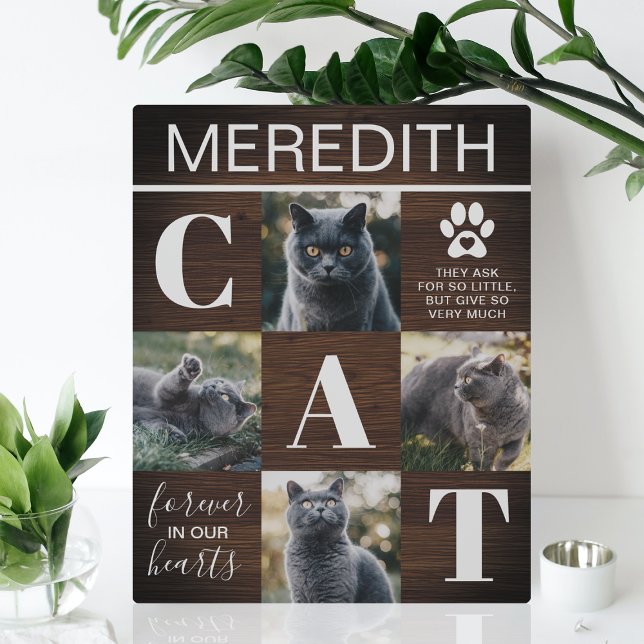 Rustikales Foto zur Holzkatzenkatastrophe Fotoplatte (Von Creator hochgeladen)