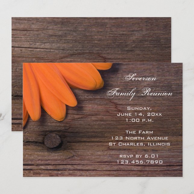 Rustikales Orange Daisy Barn Party Family Wiederse Einladung (Vorne/Hinten)